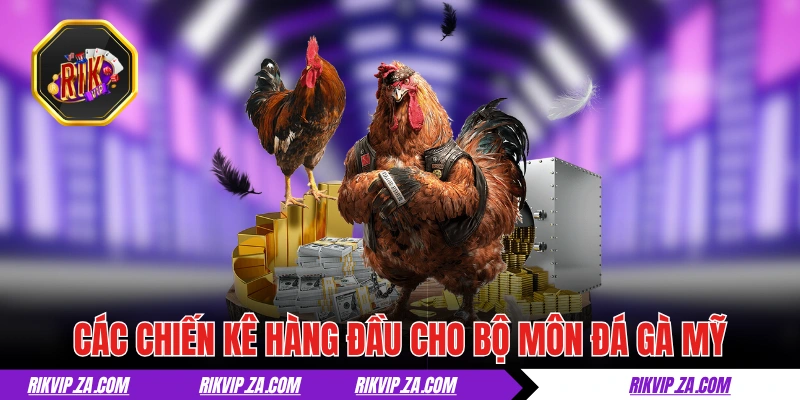 Đá Gà Mỹ - Màn Trình Diễn Giữa Các Chiến Kê Đỉnh Cao 2 Các chiến kê hàng đầu cho bộ môn đá gà Mỹ