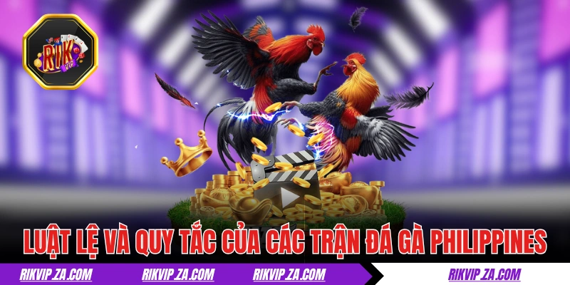 Đá Gà Philippines - Thiên Đường Của Giới Chọi Kê Hợp Pháp 3 Luật lệ và quy tắc của các trận đá gà Philippines