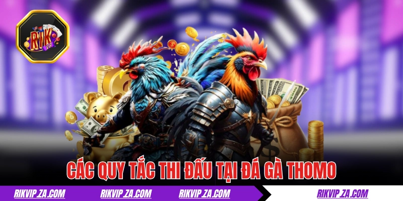Đá Gà Thomo - Chuẩn Mực Của Giới Chọi Kê Chuyên Nghiệp 3 Các quy tắc thi đấu tại đá gà Thomo